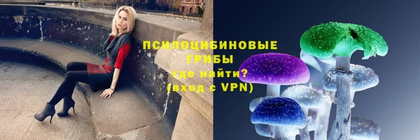 марихуана Новозыбков