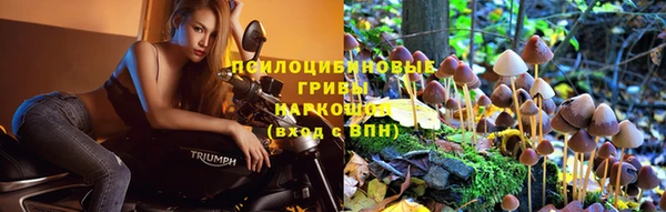 марихуана Новокубанск