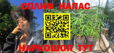 гидра Донской