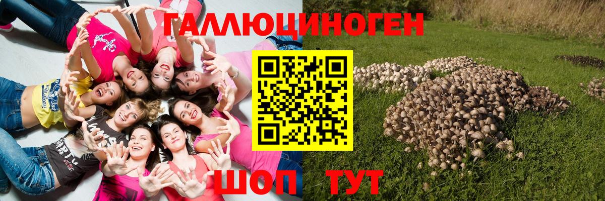 Псилоцибиновые грибы Psilocybine cubensis  Псилоцибиновые грибы мухоморы  Зерноград 