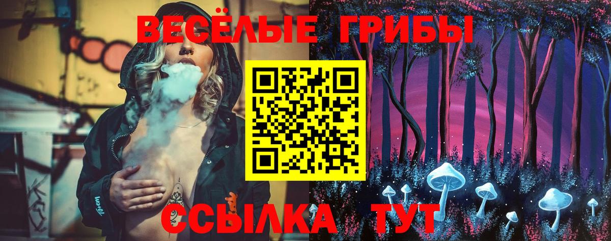 Псилоцибиновые грибы MAGIC MUSHROOMS Зерноград