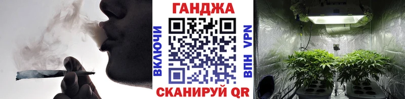 Марихуана AK-47  kraken как войти  Зерноград  закладка 